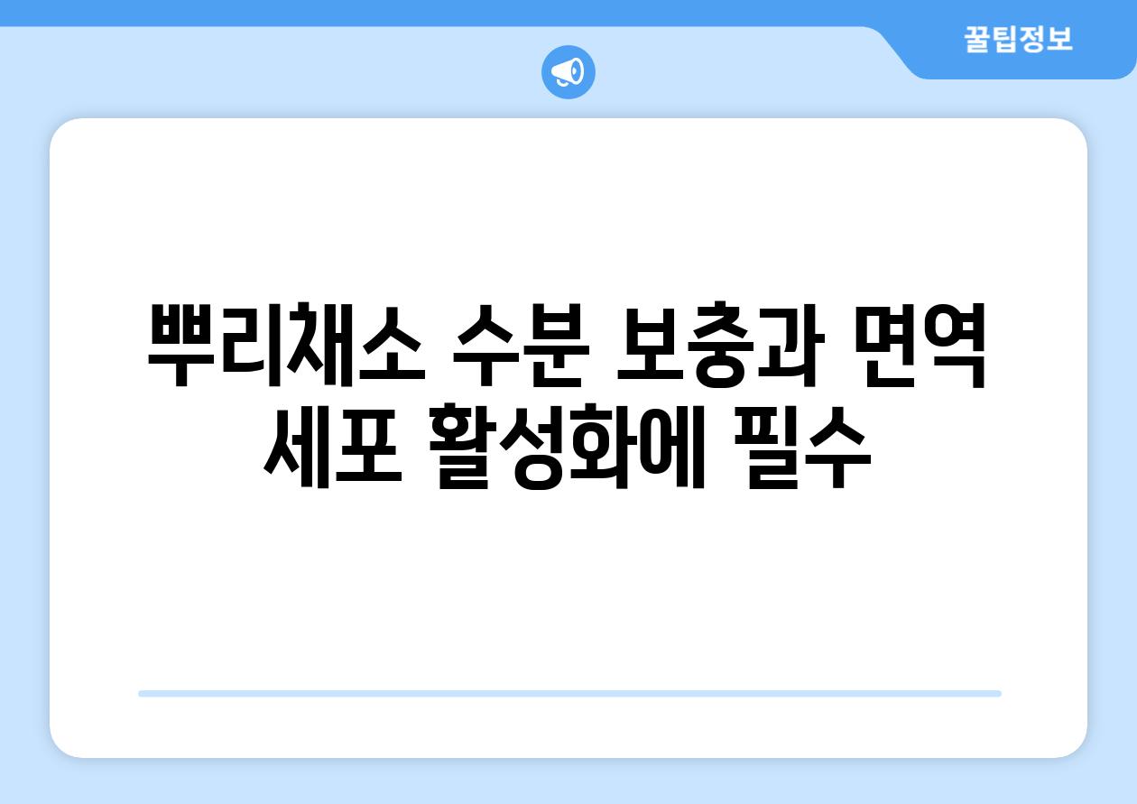 뿌리채소 수분 보충과 면역 세포 활성화에 필수