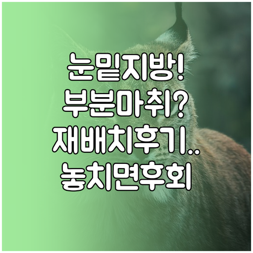 부분마취로 눈밑지방 재배치 받은 분들..