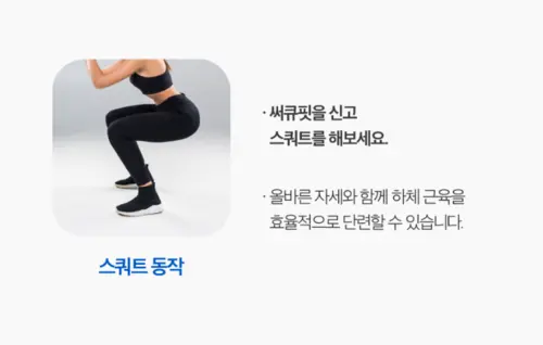 피트컷 써큐핏 내돈내산 후기 효과 부작용 가격 사용법