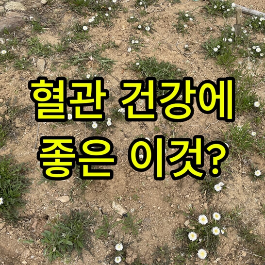 봄-밭