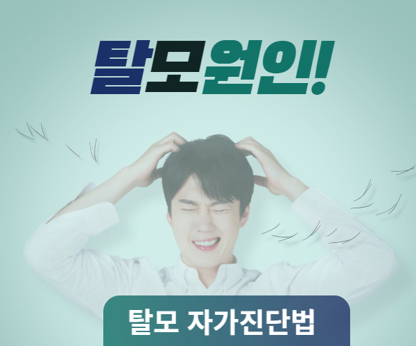 탈모 자가진단법썸네일