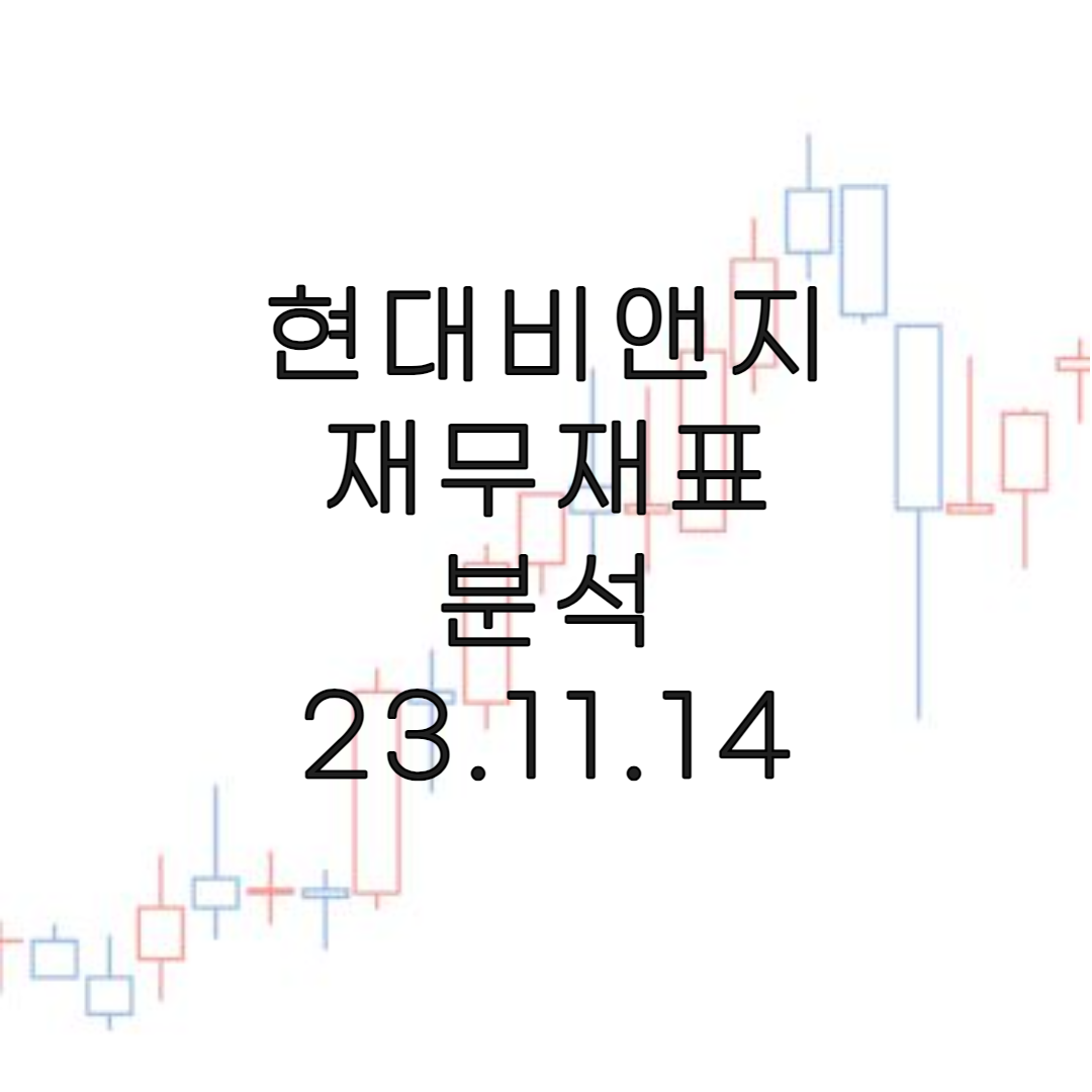 주식-현대비앤지-재무분석