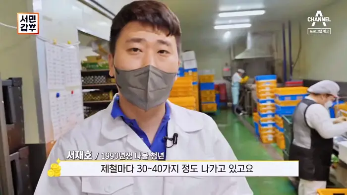 서민갑부 385회 오늘 제철나물을 데쳐 오늘 배송하는 꼼꼼하게 선별한 제철 나물로 연 매출 60억 나물 파는 곳 인터넷 전국 택배 주문 방송 정보