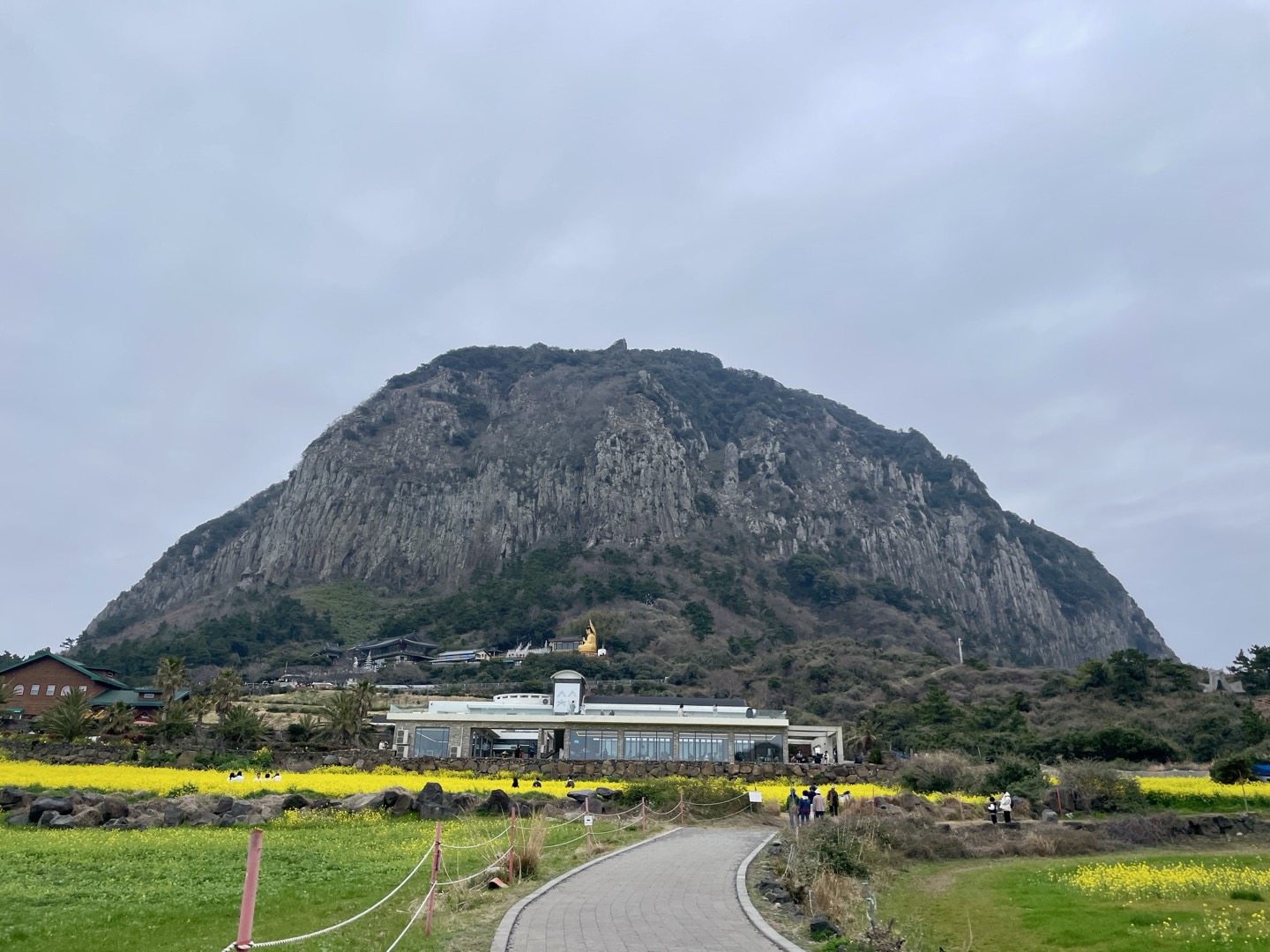 제주 유채꽃 필수 코스