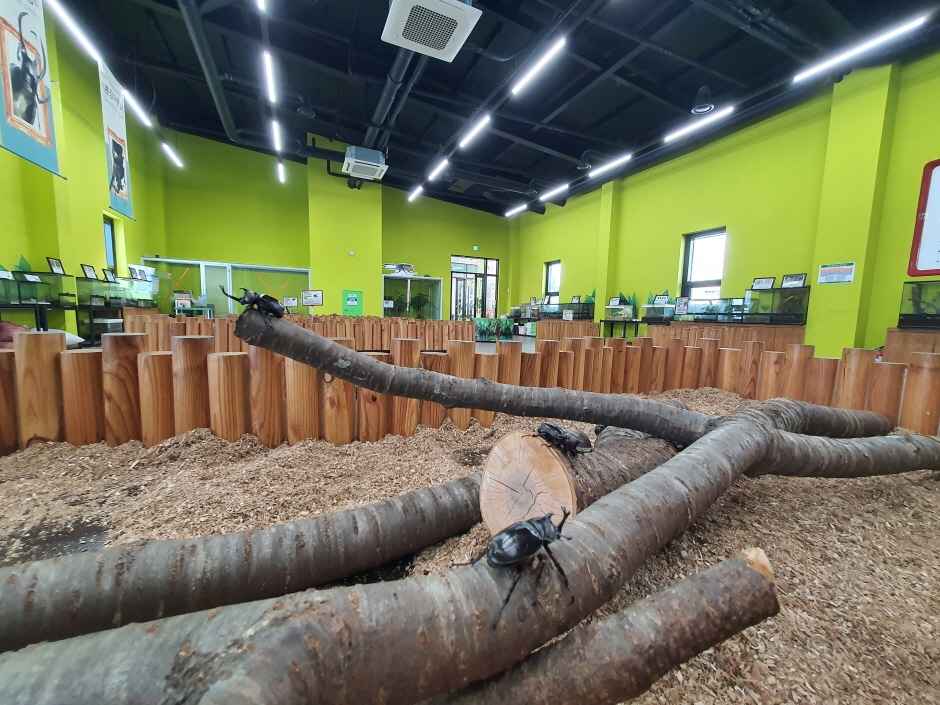 여주 가볼만한곳 베스트10 - 여주곤충박물관