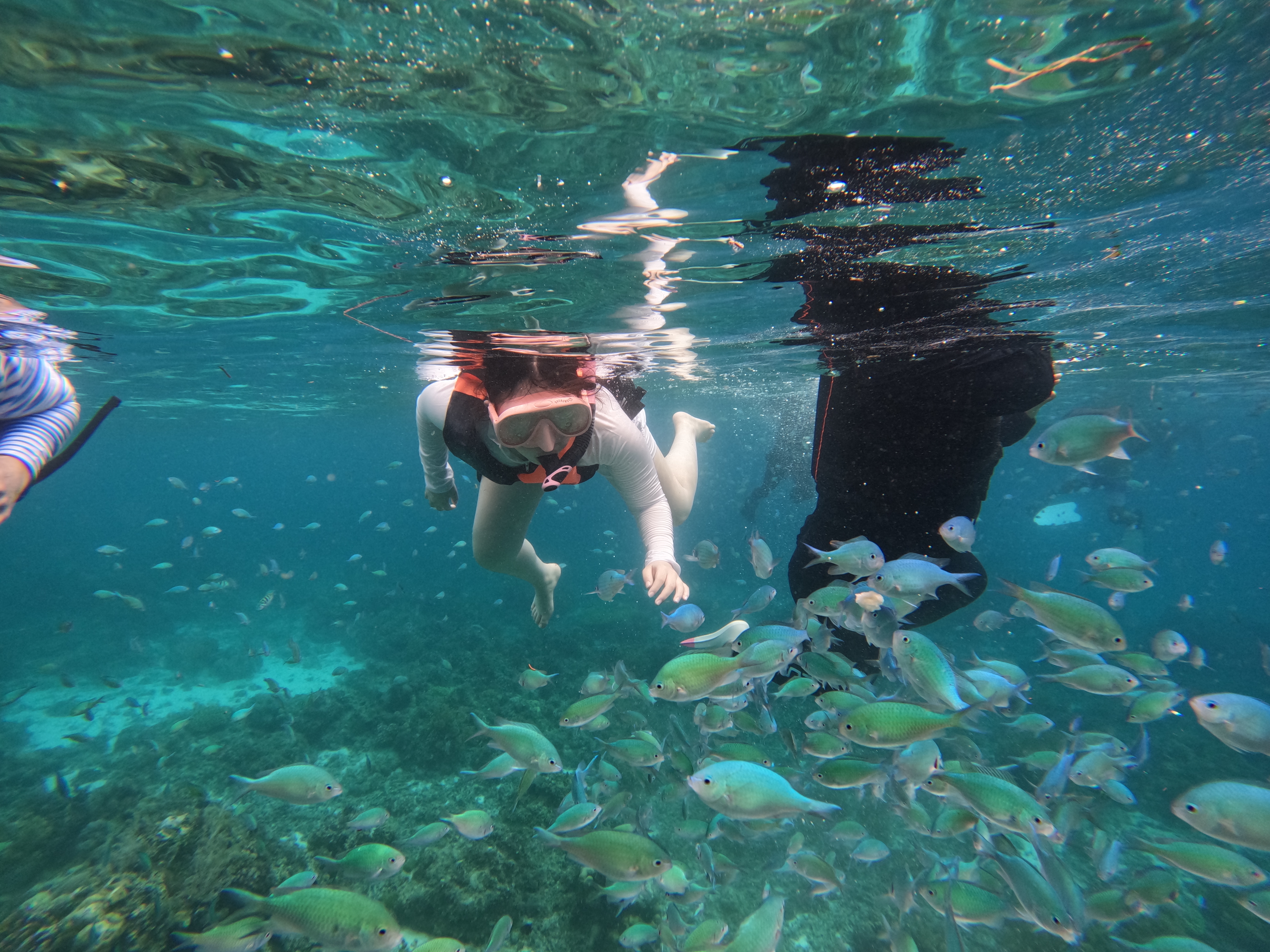 로컬페이지 발리카삭 나팔링 투어