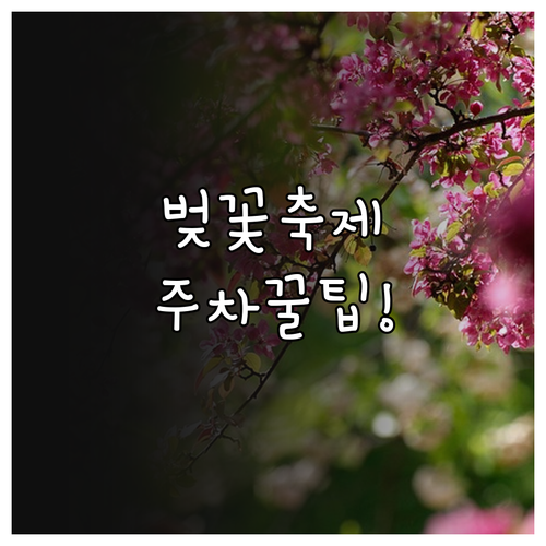 2026년 덕진공원 벚꽃 축제 준비 ..