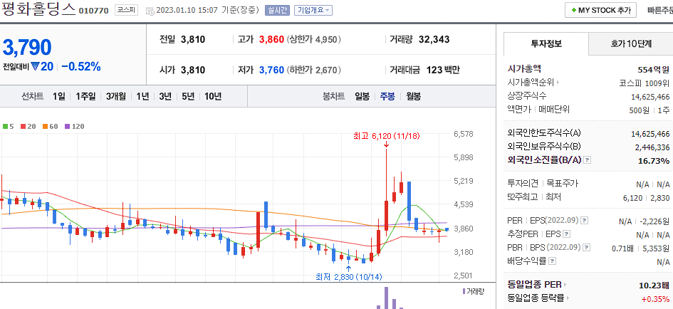 평화홀딩스