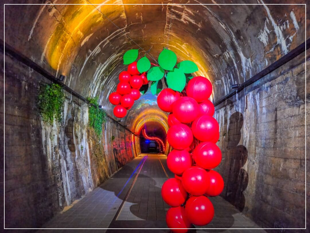 문경 가볼만한곳 베스트10 문경오미자테마터널