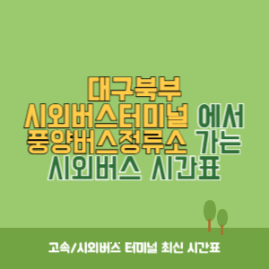 대구북부시외버스터미널에서 풍양버스정류소 가는 시외버스 시간표 최신정보