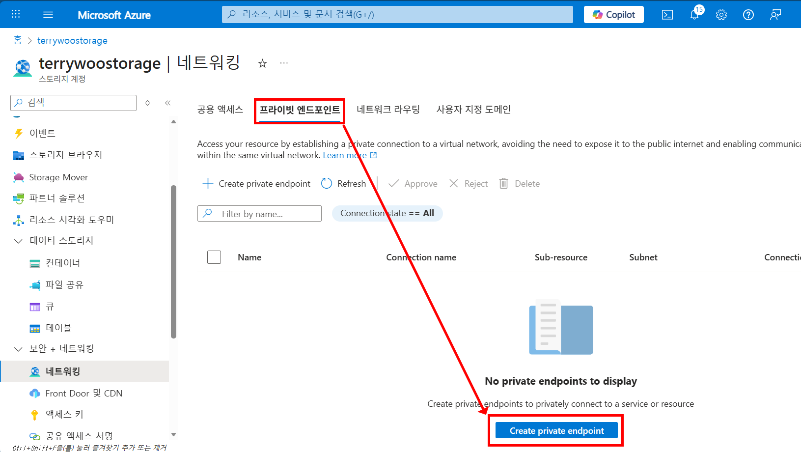 Azure Storage 계정 네트워킹 메뉴에서 Private Endpoint 생성 화면