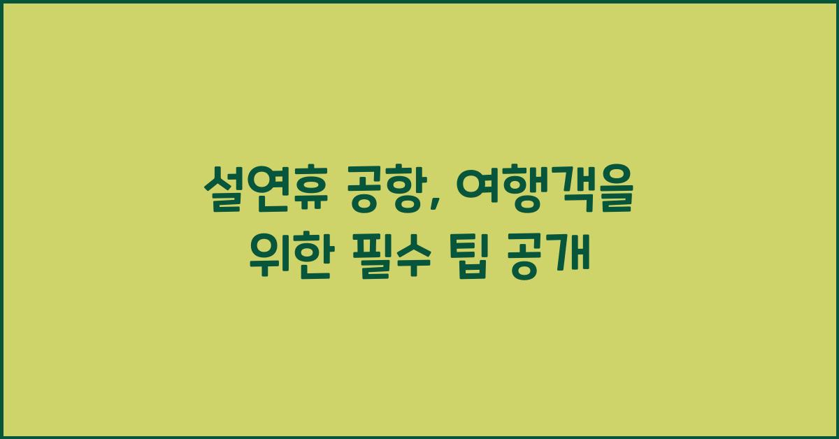 설연휴 공항