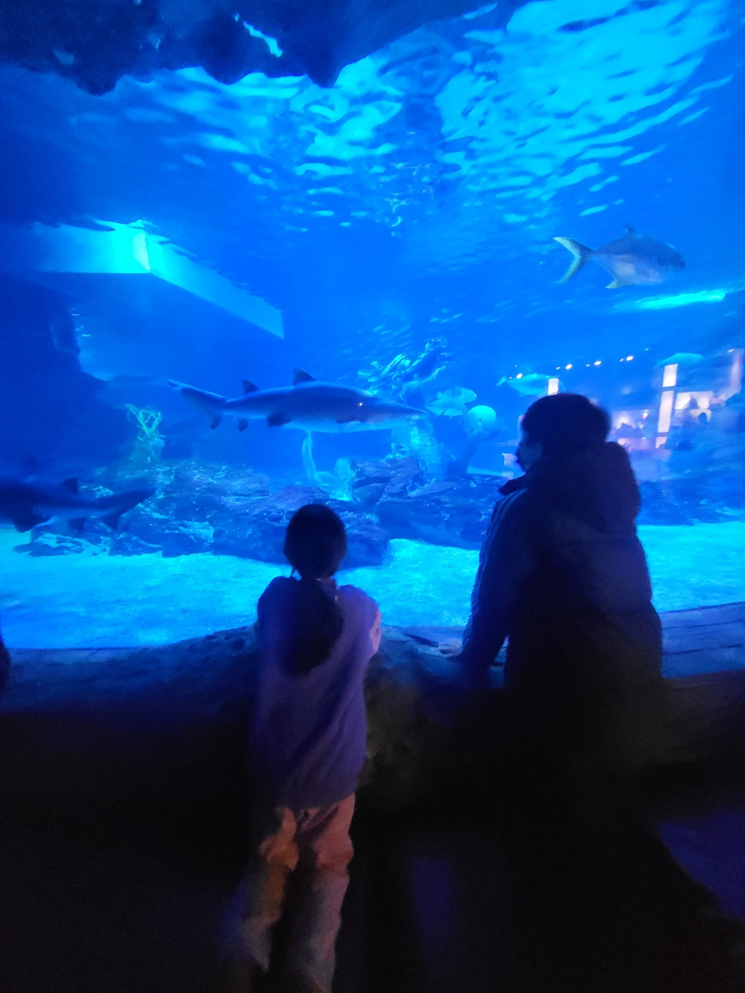 부산 아쿠아리움