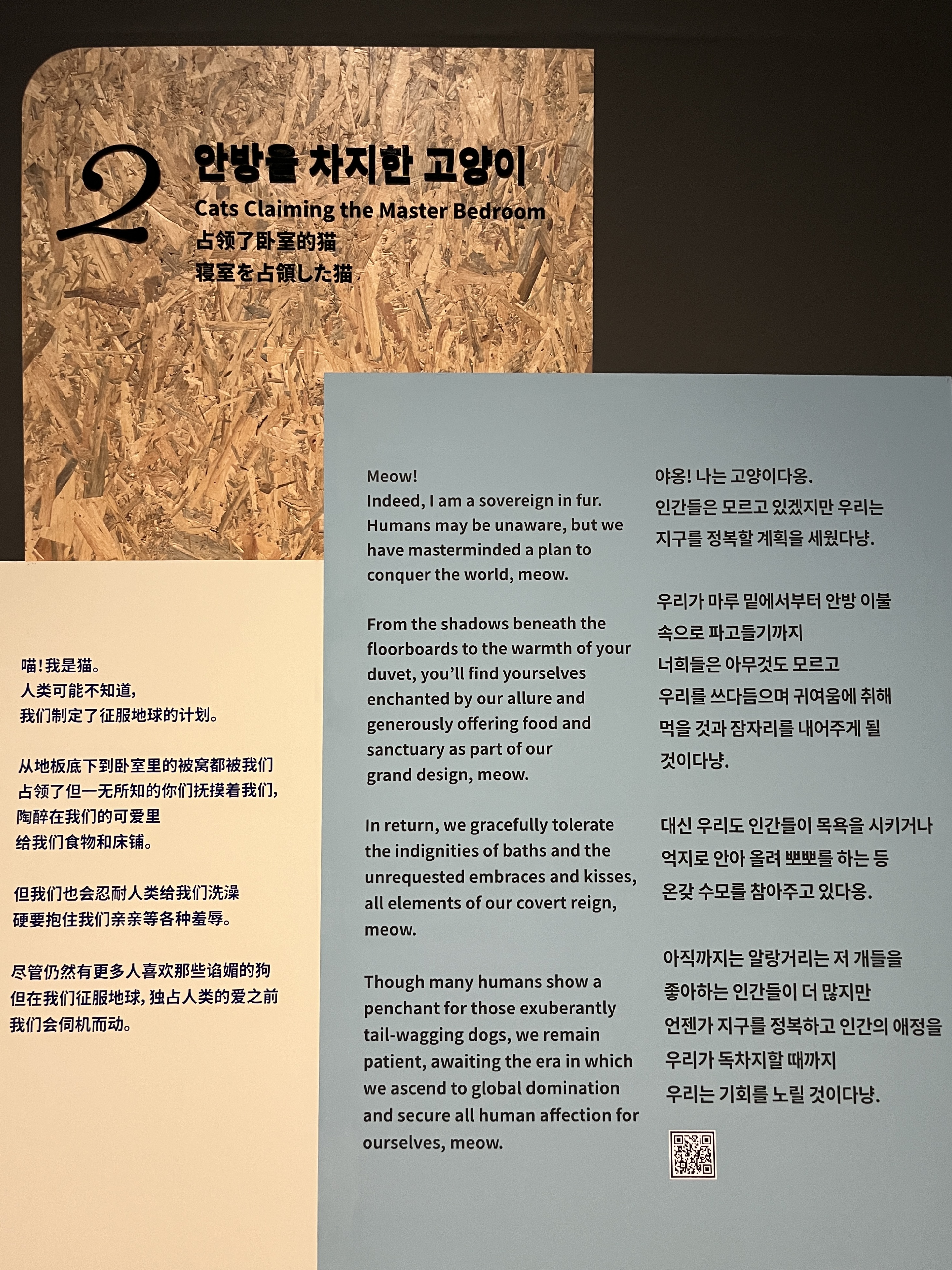 요물 우리를 홀린 고양이