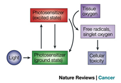 PDT requires three elements: light, a photosensitizer and oxygen