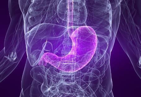 위를 보호하고 속을 따뜻하게 하는 차 6가지