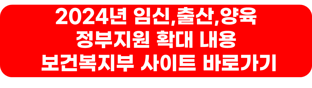 2024년 임신,출산,양육 정부지원 확대