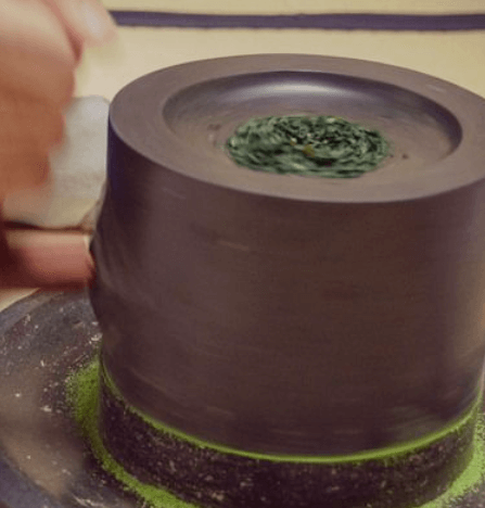 약용식물관리사