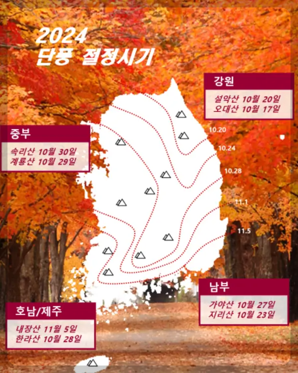 2024 단풍 절정시기
