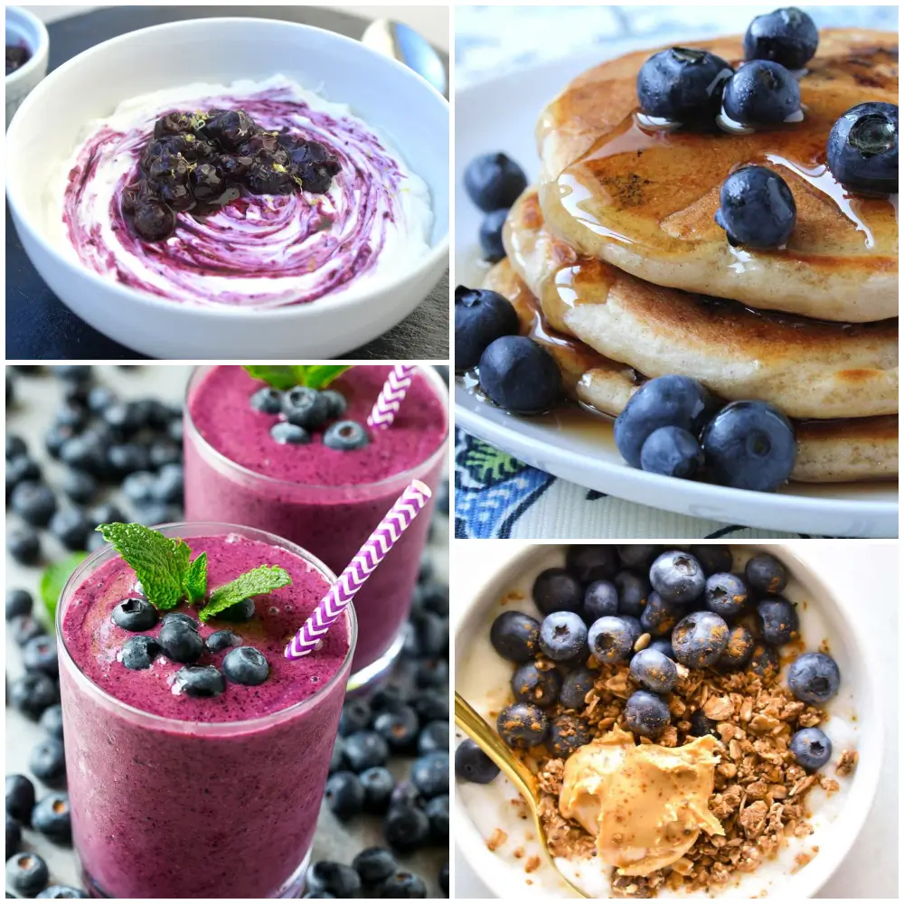 블루베리 요리들