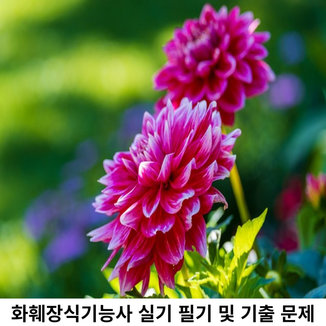 화훼장식기능사 필기 시험