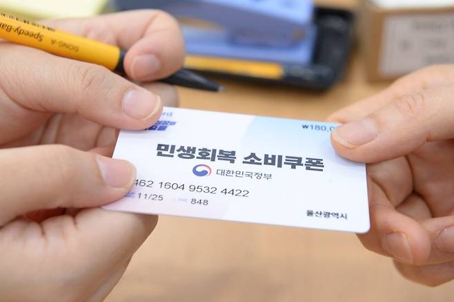 2025 경기도 민생회복 소비쿠폰 사용처