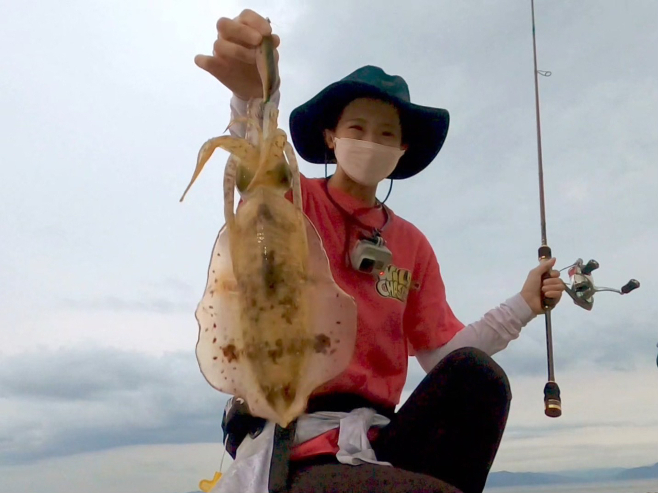 무늬오징어 시즌