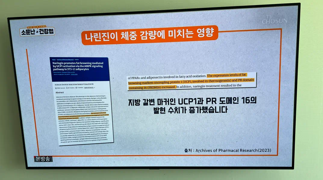 레몬자몽즙에 있는 나린진의 관련 연구결과1