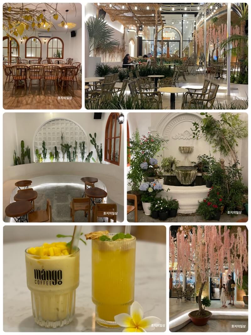 나트랑 시내 예쁜 카페 맛집 망고 커피 - 사진 모음