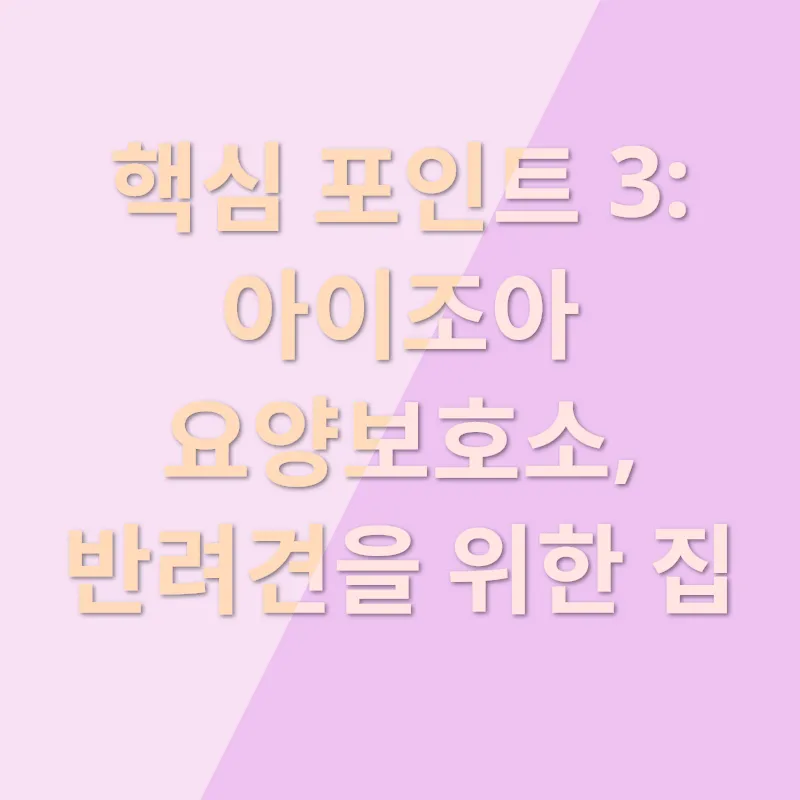 반려견 위탁_3