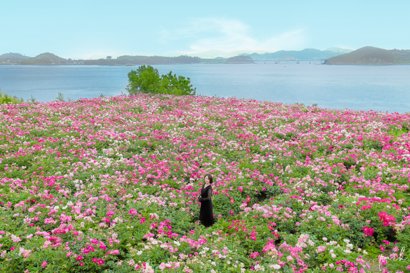 5월 가볼만한 여행지