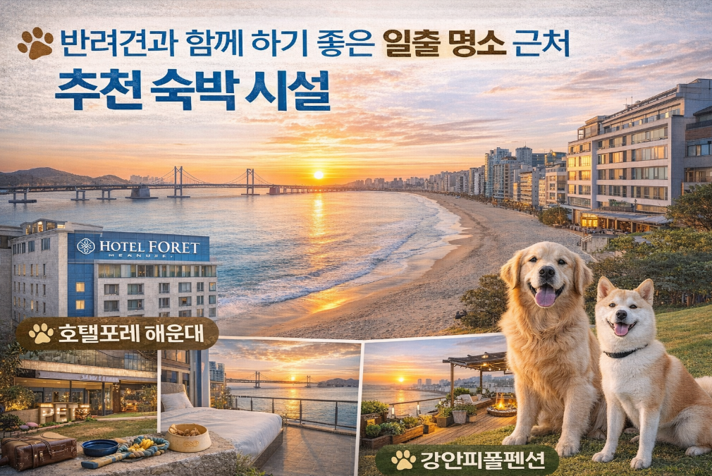 반려견과 일출 보며 힐링하는 펜션 베스트 5곳