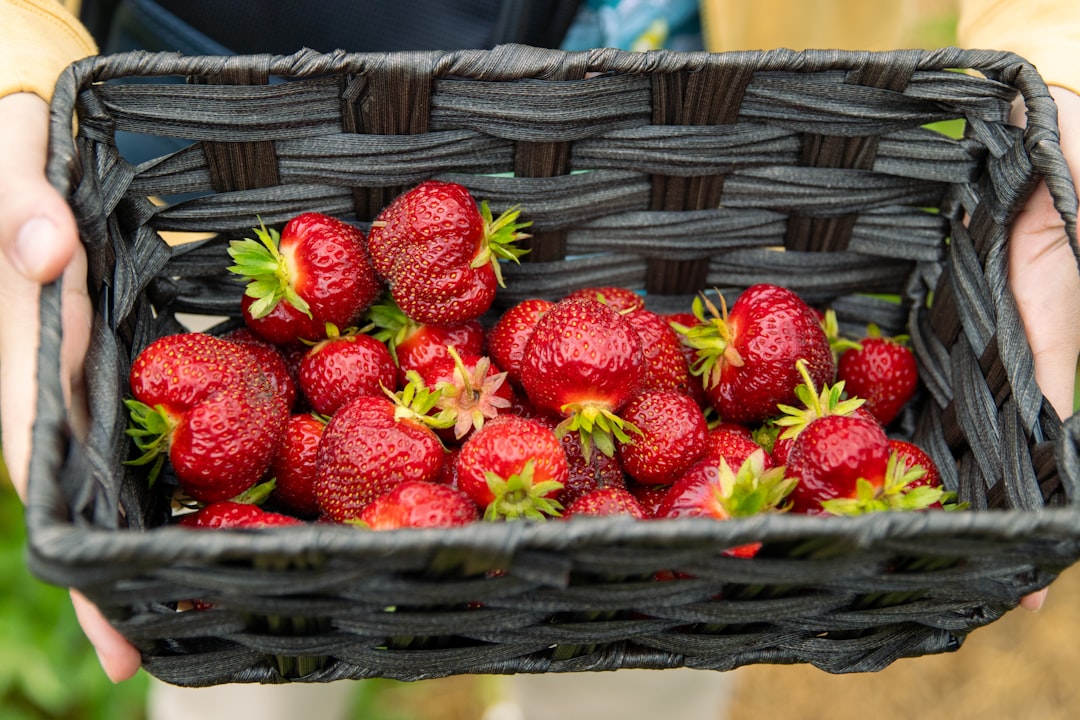 Nonsan Strawberry Festival