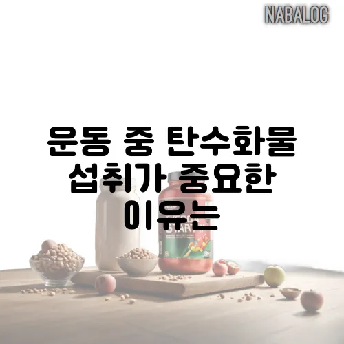 운동 중 탄수화물 섭취가 중요한 이유는