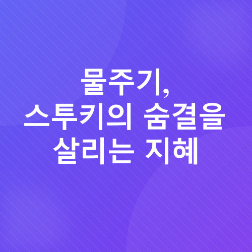 스투키 키우기_2