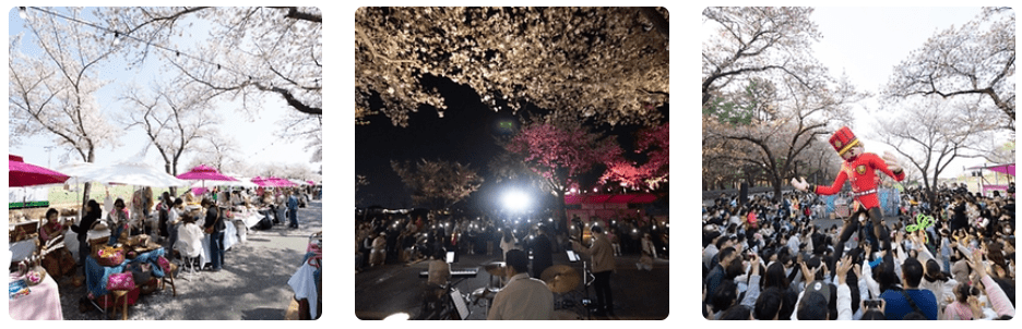 3월여행지추천, 가볼만한곳, 봄꽃여행