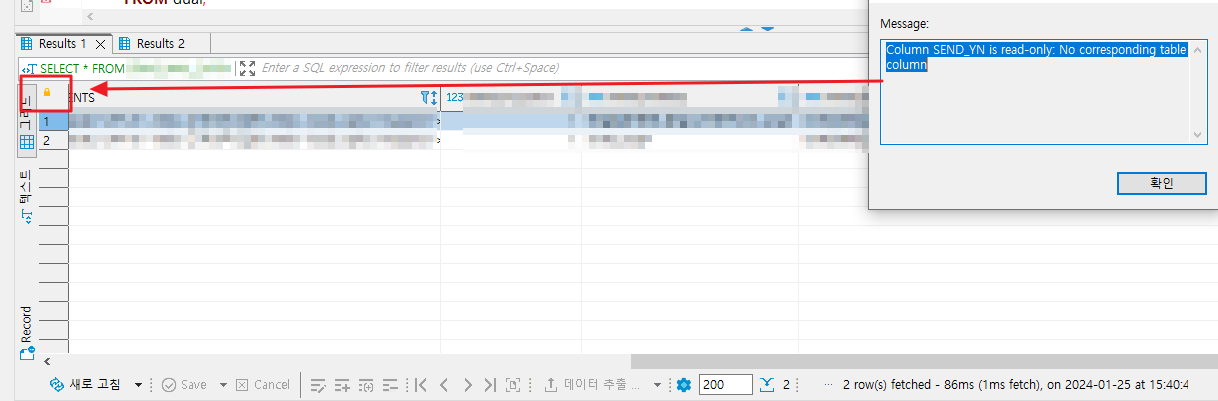 [read-only] 상태에서 자물쇠 아이콘 표시 됨.