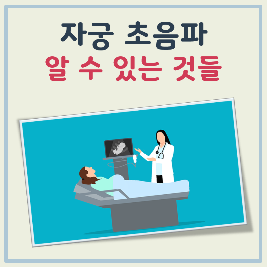 자궁 초음파로 알수있는것 대표 이미지