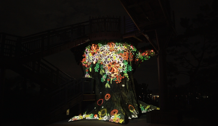 통영 디피랑 경관