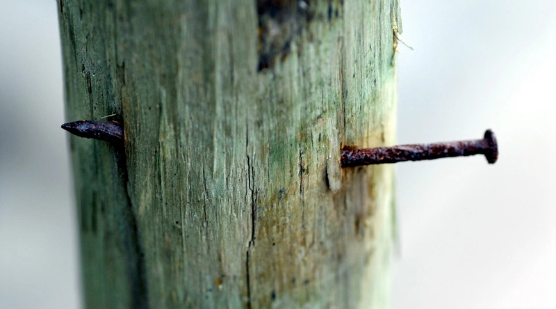 전선 절단 후 피복 벗기는 기본 방법