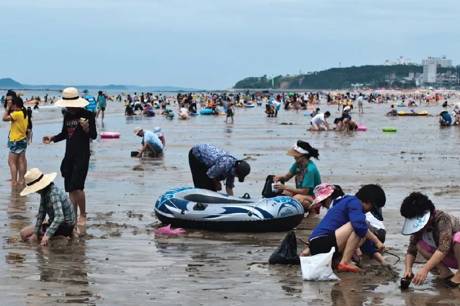 대천해수욕장 개장일 맛집 가볼만한 곳 호텔 숙박정보