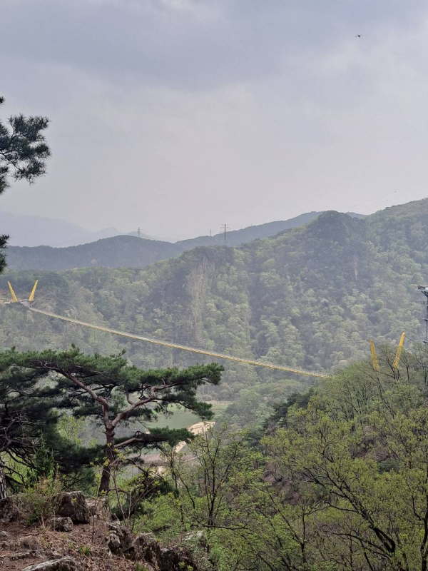소금산 울렁다리 보이다