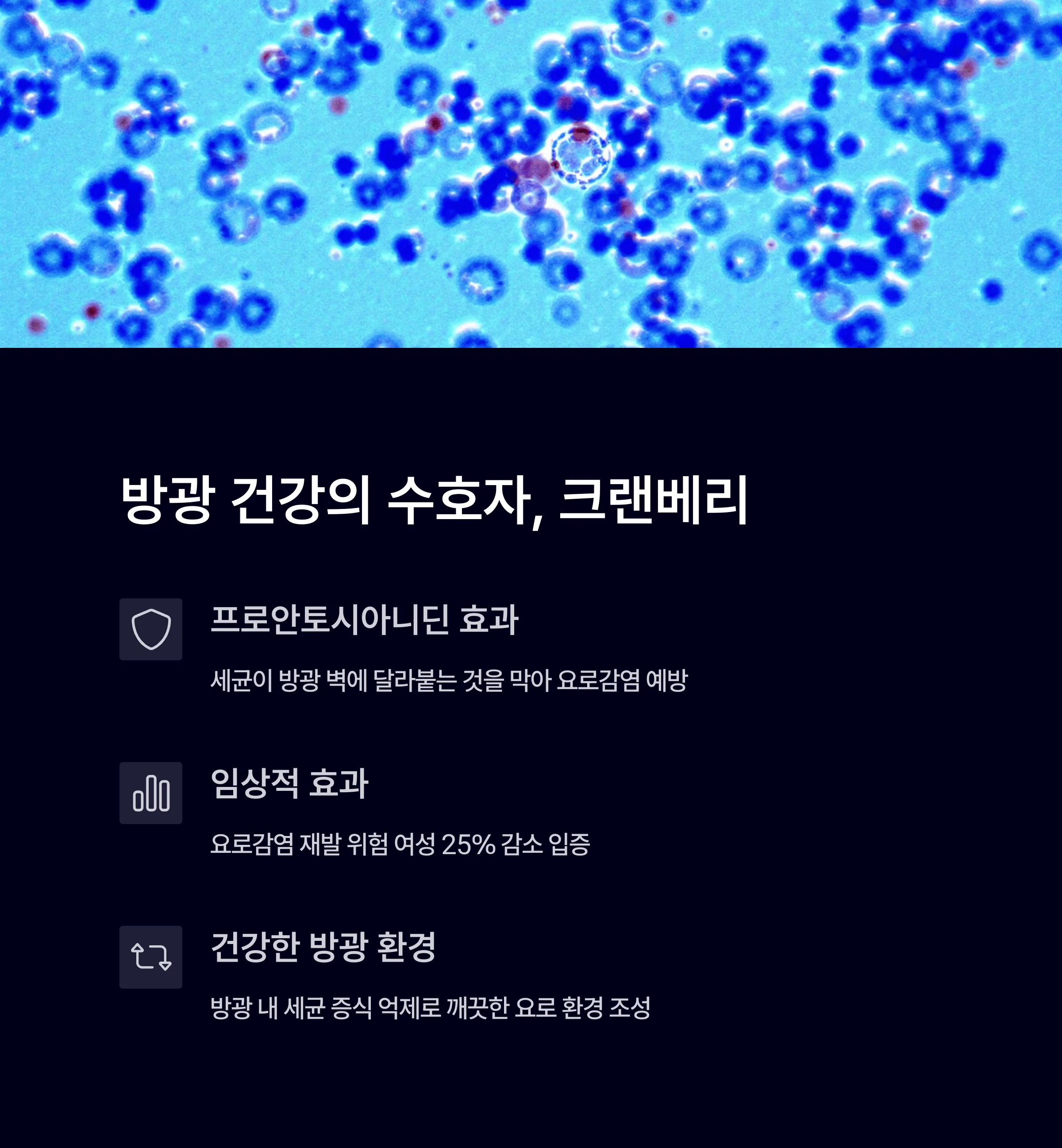 크랜베리 효능과 영양제 추천, 여성건강에 좋은 이유