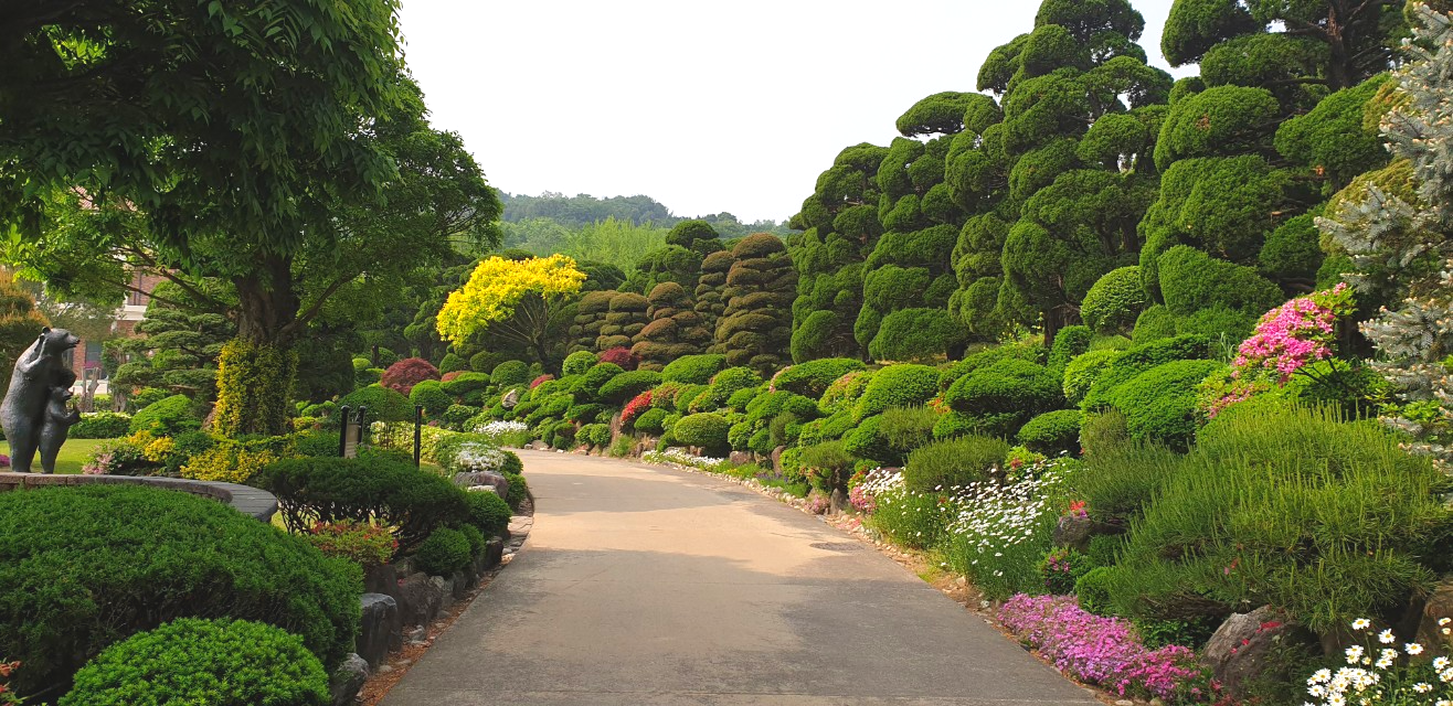 세종가볼만한곳