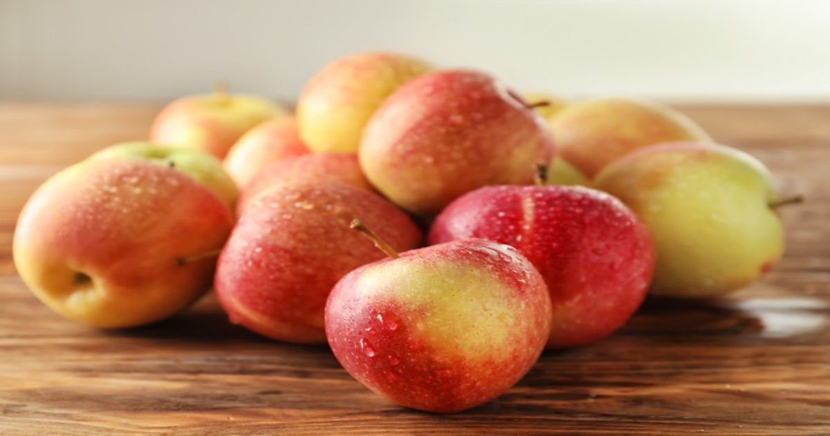 급찐급빠 다이어트 하는 방법