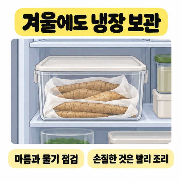 냉장고 안 보관 용기에 흰 종이로 감싼 더덕을 담고 마름과 물기 점검 및 손질한 것은 빨리 조리 문구를 표시한 이미지