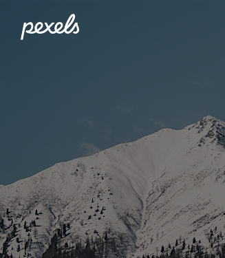 픽셀즈