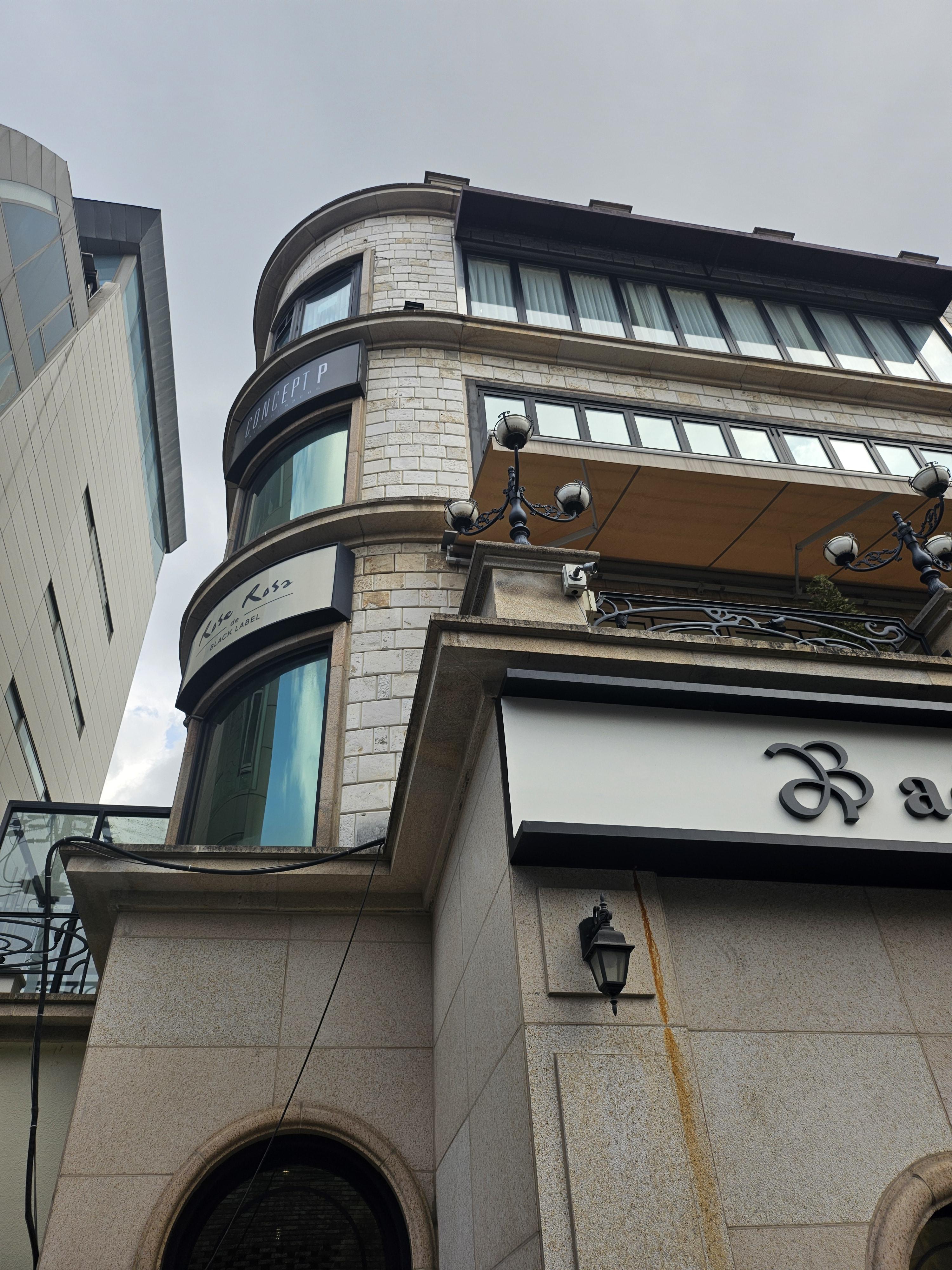 로즈로사 드레스 투어