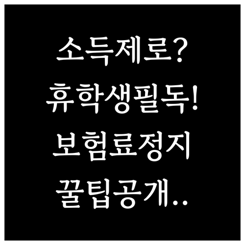 소득 없는 학생 휴학생 국민연금 보험..