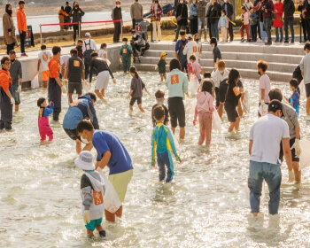 양양 송이 연어축제_8